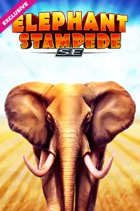 Chipy Casino Elephant Stampede SE